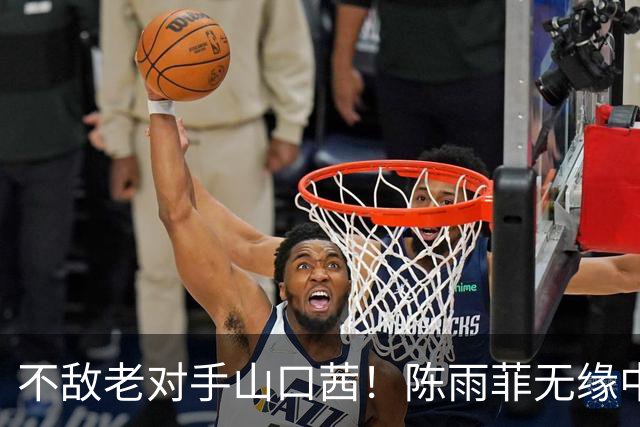 不敌老对手山口茜！陈雨菲无缘中国公开赛冠军，国羽2冠2亚收官